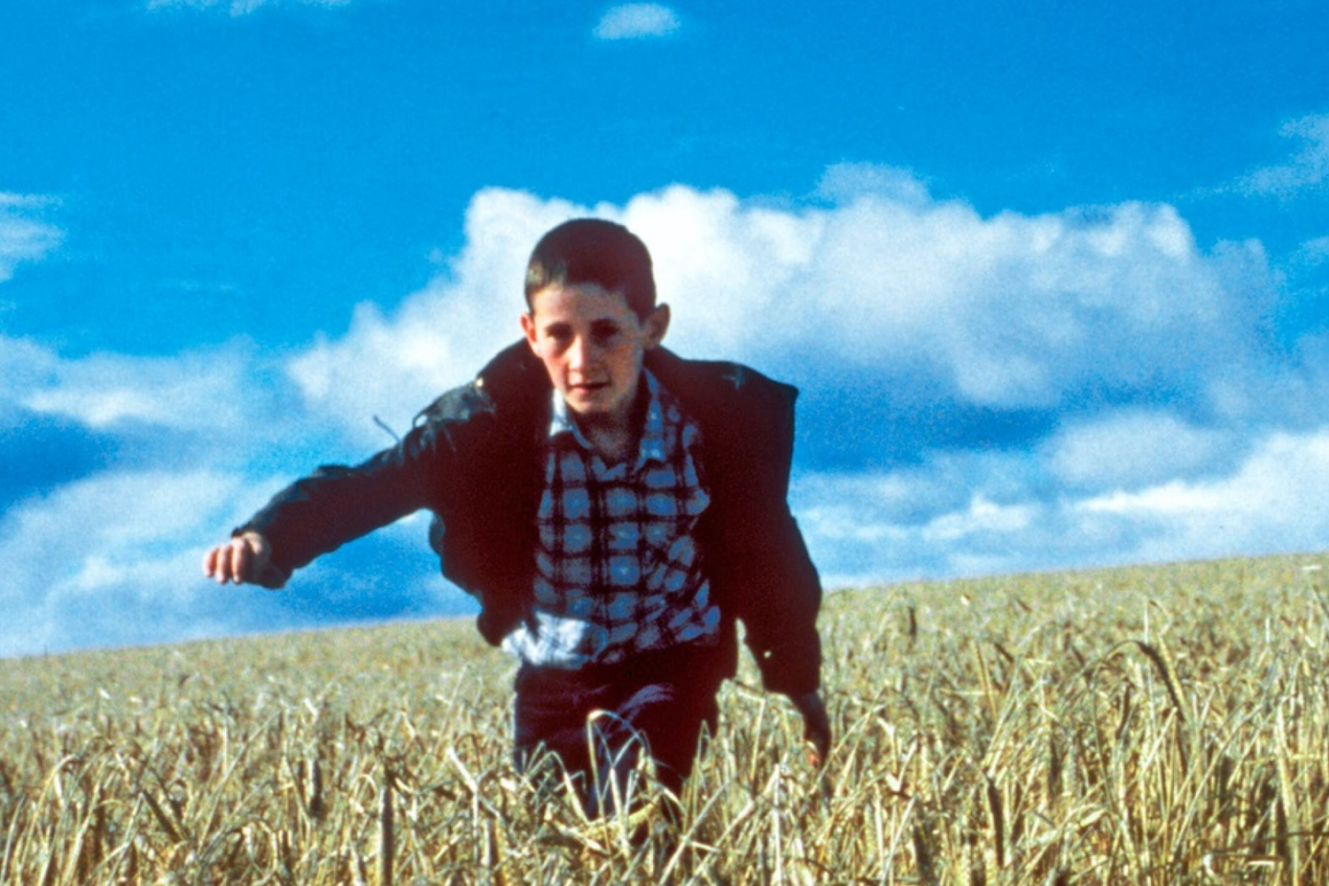 SITO1500x1000 px (3)